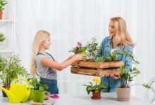 the benefits of plant nurseries webfreen.com