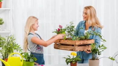 the benefits of plant nurseries webfreen.com