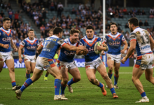 dolphins vs knights