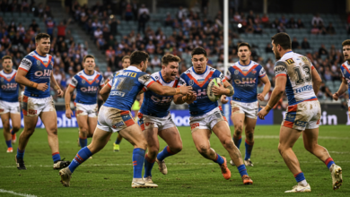 dolphins vs knights