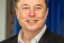 trump–musk feud