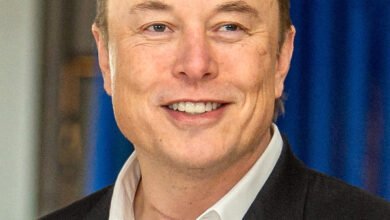 trump–musk feud